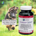 Longevity by Nature - ArthroGuard Joint Support Pet Wafers - 90 Wafers
