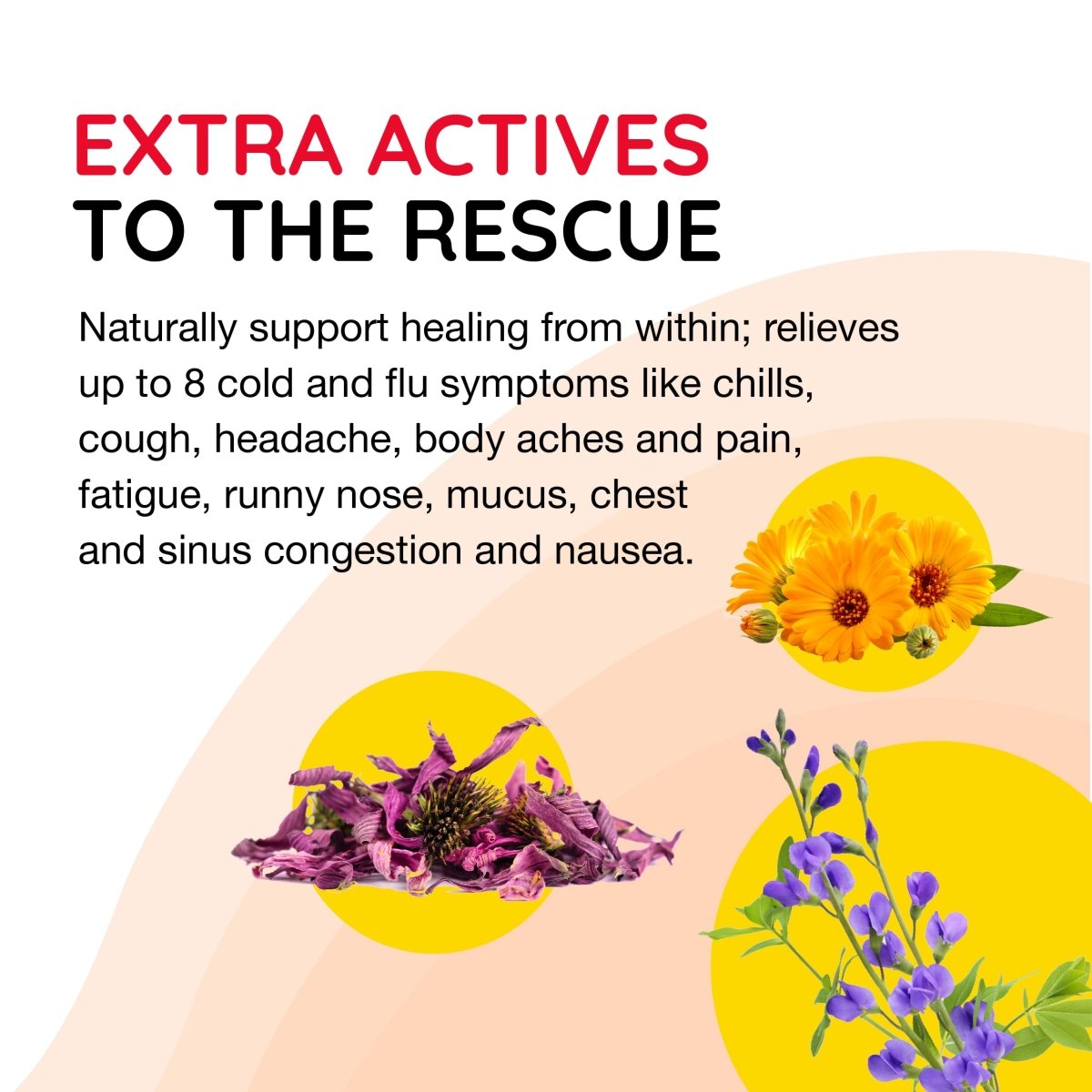 MediNatura Reboost Cold/Flu Lemon 60 Tablets