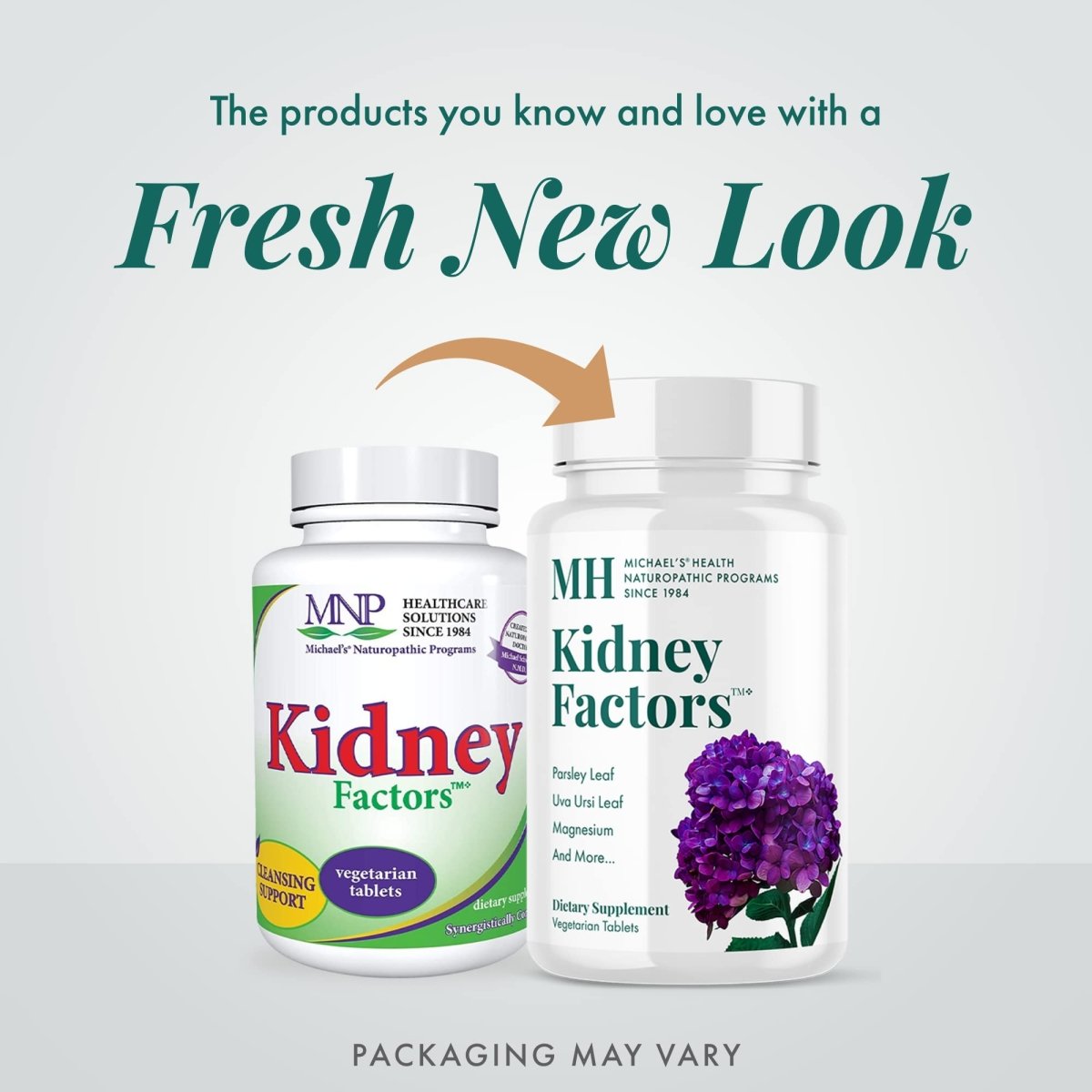 Michael's Naturopathic Programs - Kidney Factors Cleansing Support - 120 Vegetarian Tablets