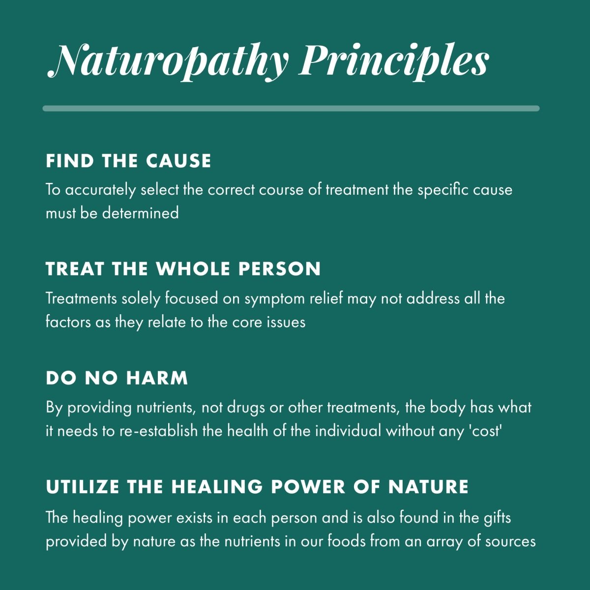 Michael's Naturopathic Programs - Prostate Factors - 120 Tablets