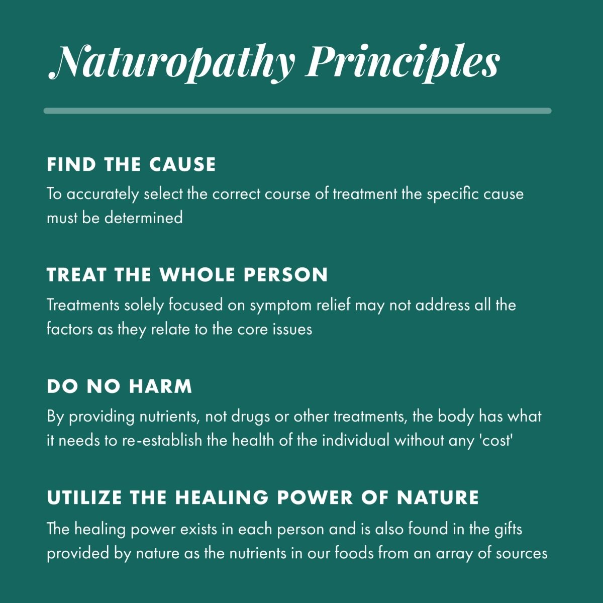 Michael's Naturopathic Programs - Testosterone Factors - 120 Vegetarian Tablets