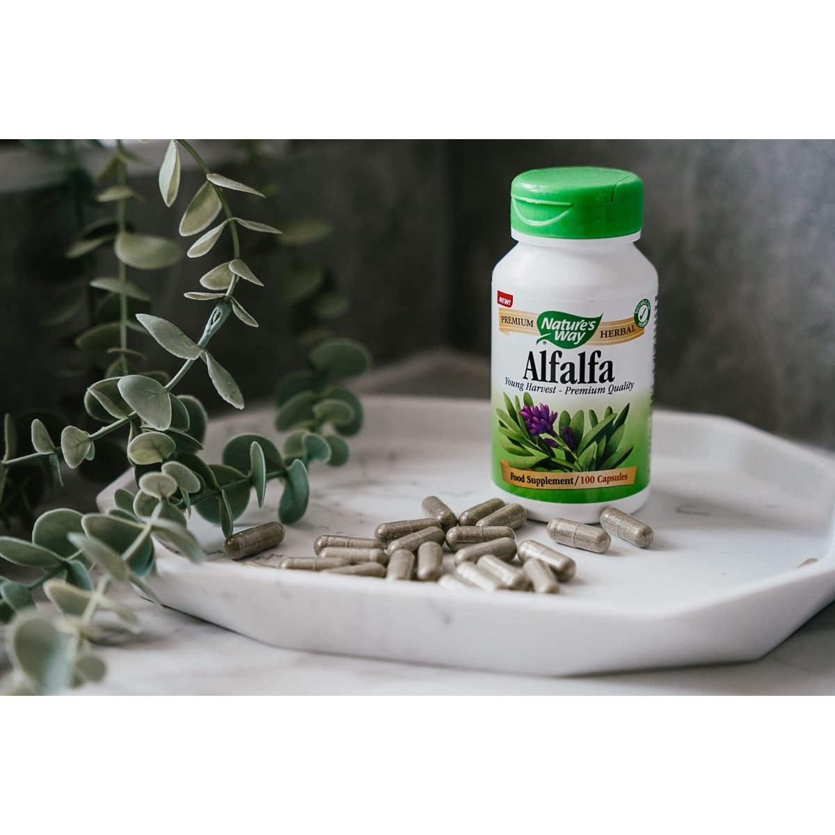 Nature's Way Alfalfa Leaves -- 100 Capsules