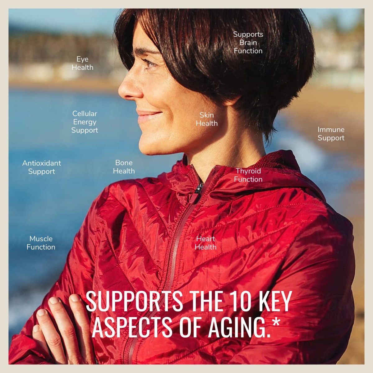Nature's Way Alive!? Once Daily Women's 50+ Multivitamin, Ultra Potency, Food-Based Blends (60 mg per serving), 60 Tablets
