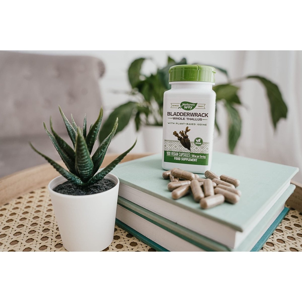 Nature's Way Bladderwrack - 100 Vegetarian Capsules