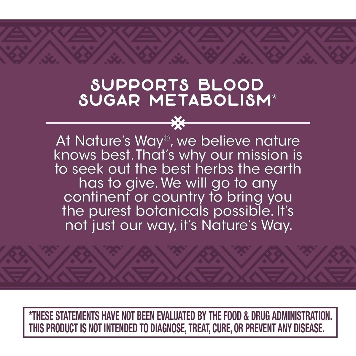 Nature's Way Blood Sugar Manager, 90 capsules