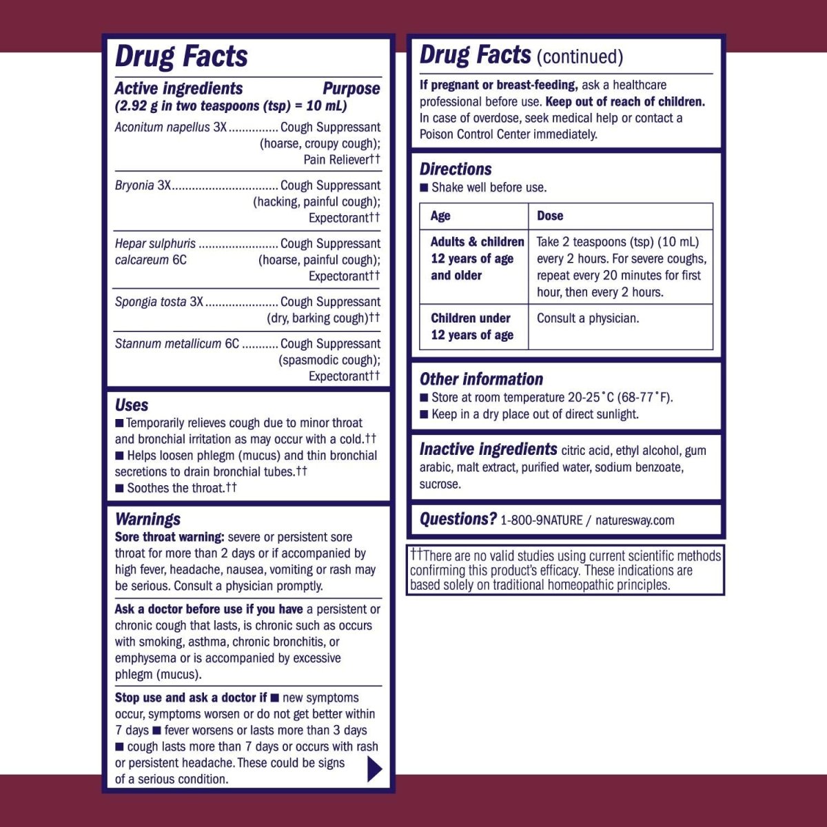 Nature's Way Boericke & Tafel Daytime Cough & Bronchial Syrup, Cough Suppressant?? & Expectorant??, Non-Drowsy, 4 Fl. Oz