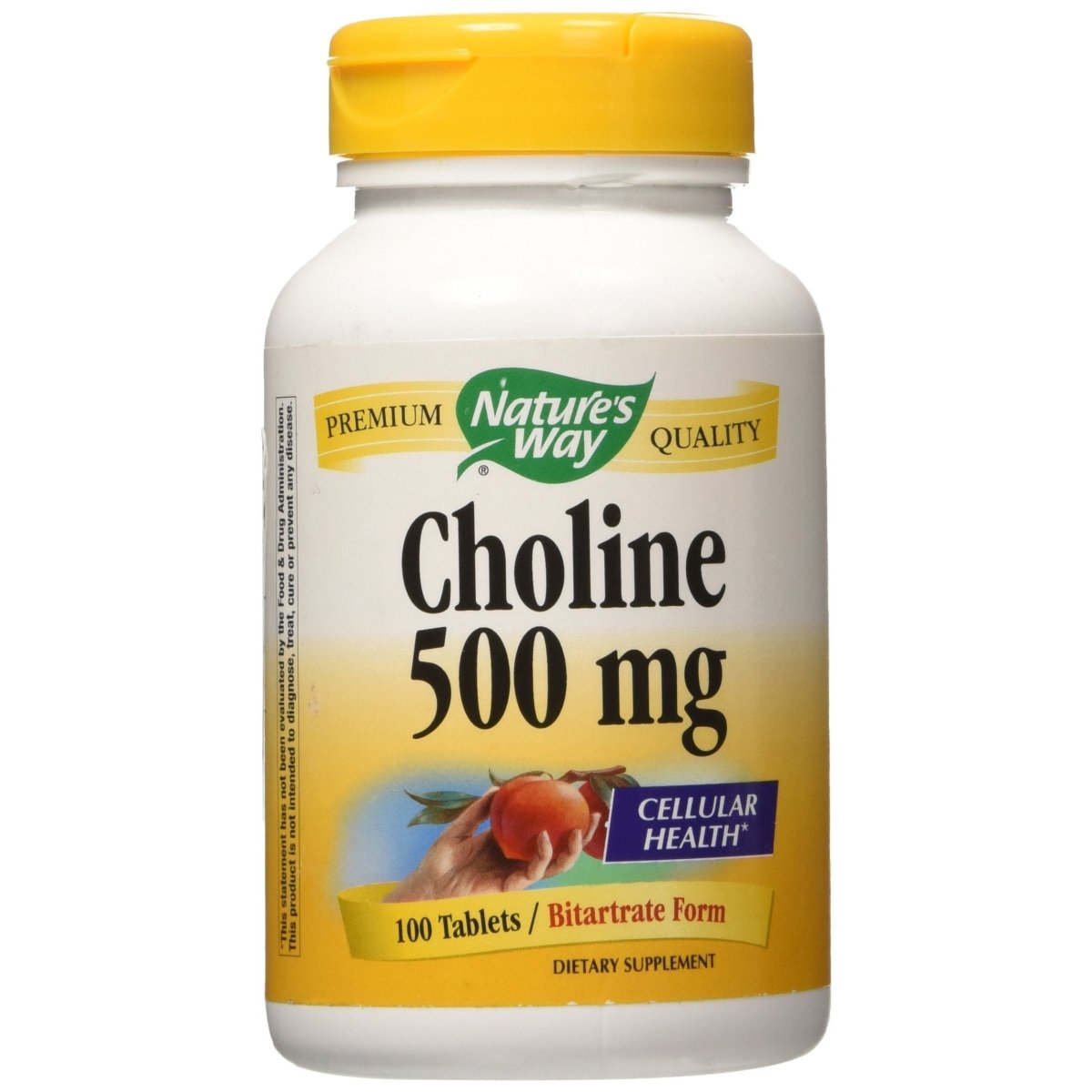 NATURE'S WAY Choline 500mg 100 Tablets