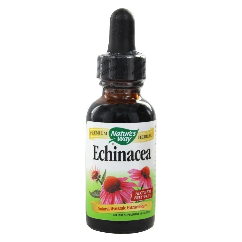 Nature's Way Echinacea - 1 fl oz