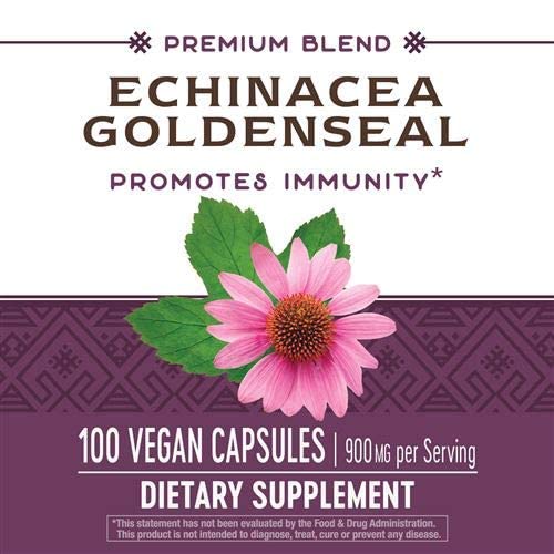 NATURE'S WAY Echinacea/Goldenseal, 0.02 Pounds