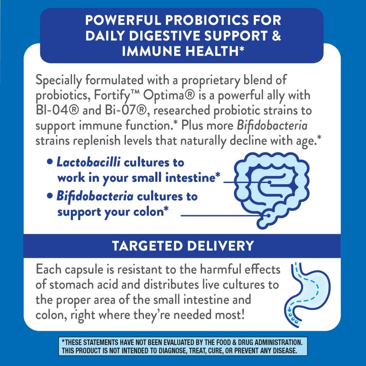 Nature's Way Fortify Optima Adult 50+ Daily Probiotic - 30 Capsules