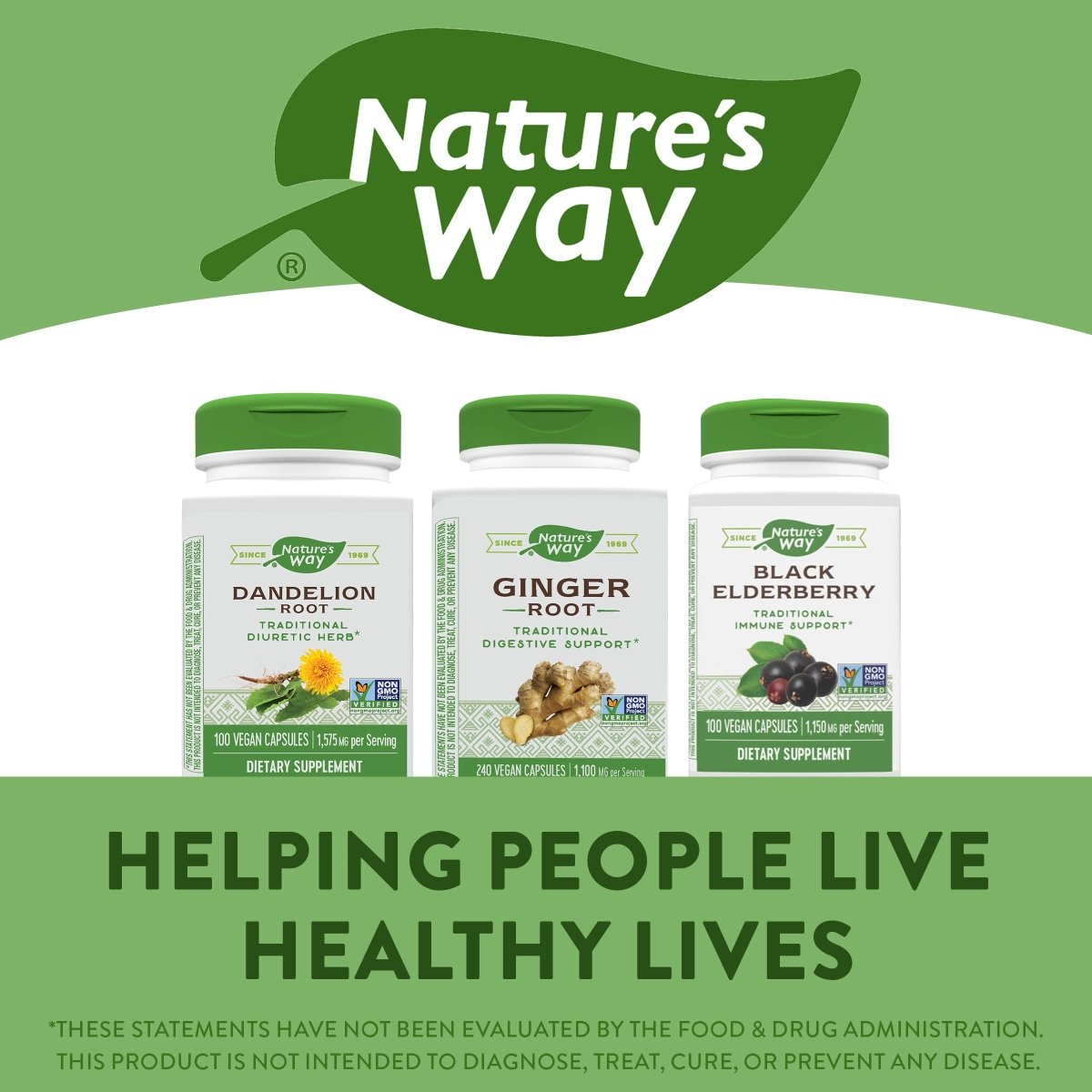 Nature's Way Ginger Root, Traditional Digestive Support*, 1110 mg Per Serving, Non-GMO Project Verified, 240 Capsules