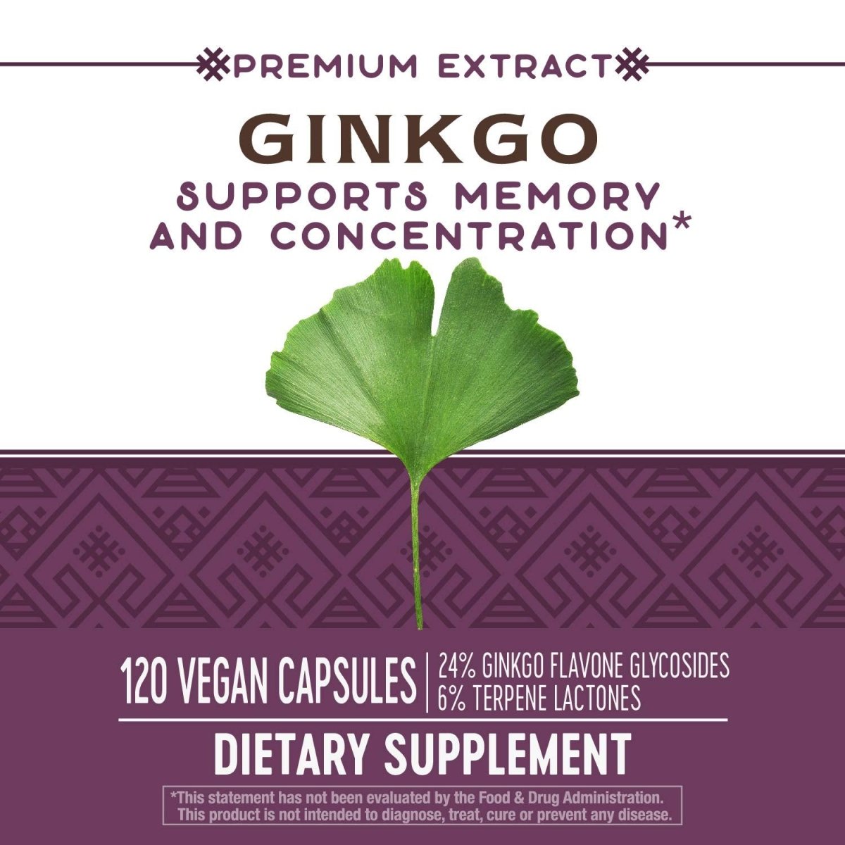 Nature's Way Ginkgo Extract 120 Vcaps