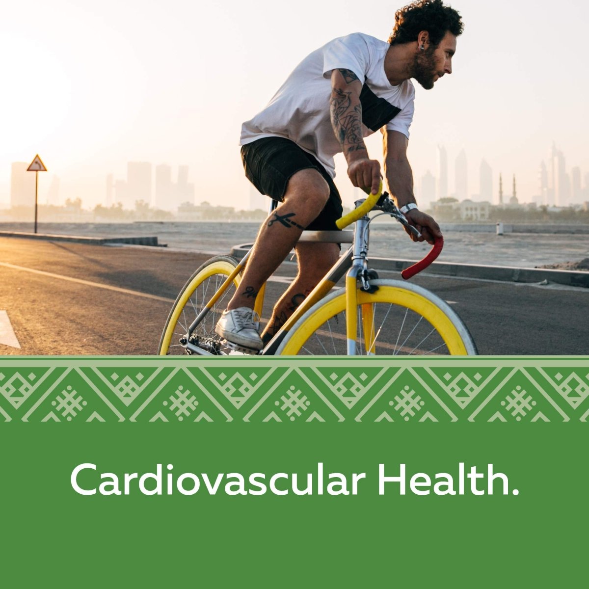 Nature's Way Hawthorn Berries, Cardiovascular Health, 100 Vegetarian Capsules