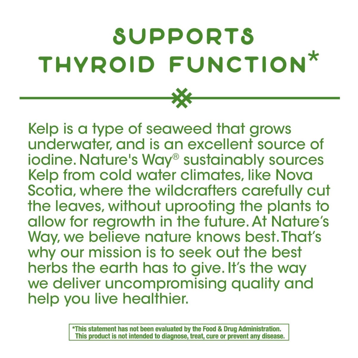 Nature's Way Kelp Capsules - 180 Capsules
