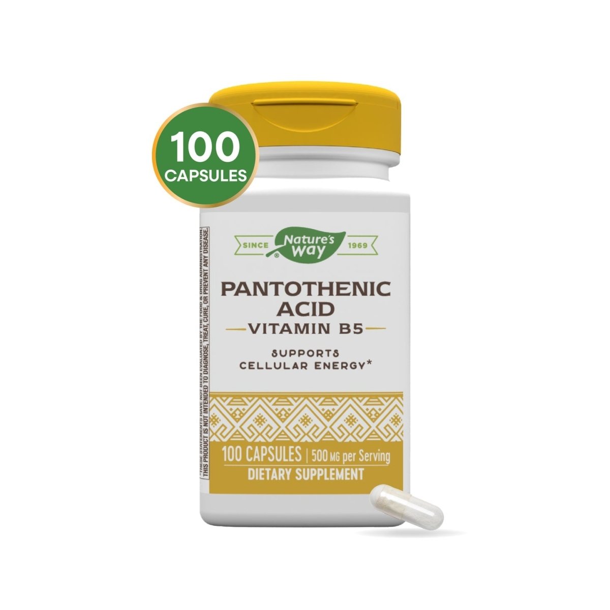 Nature's Way Pantothenic Acid Vitamin B5 100 Capsules - 2 Pack