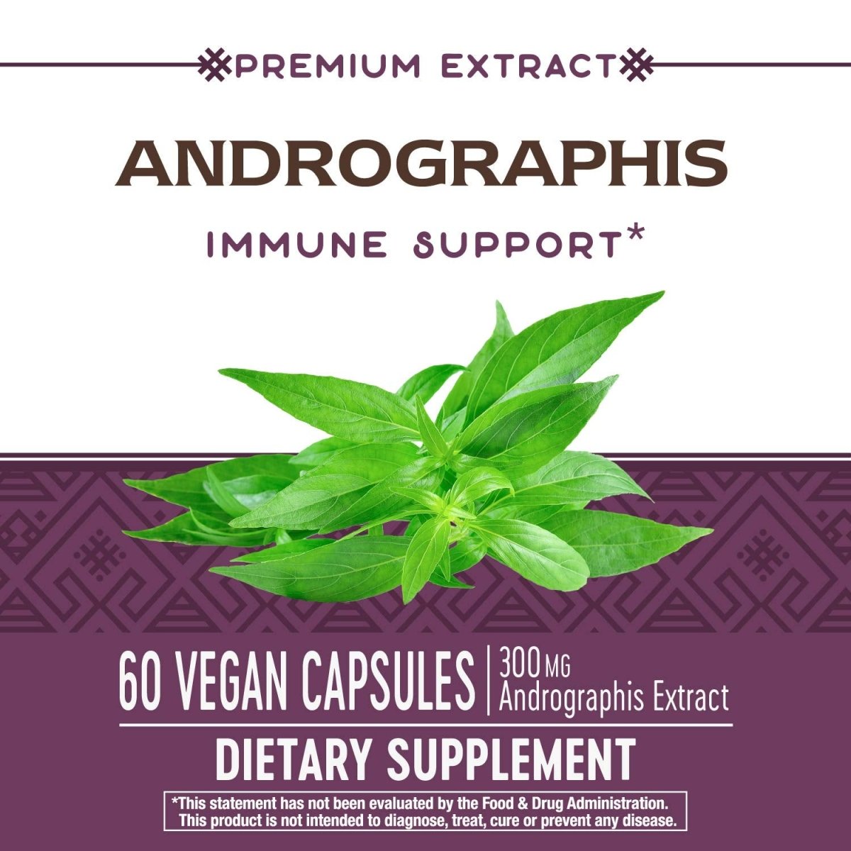 Nature's Way Premium Extract Andrographis, Immune Support*, 300 mg Andrographis Extract per serving, 60 Capsules