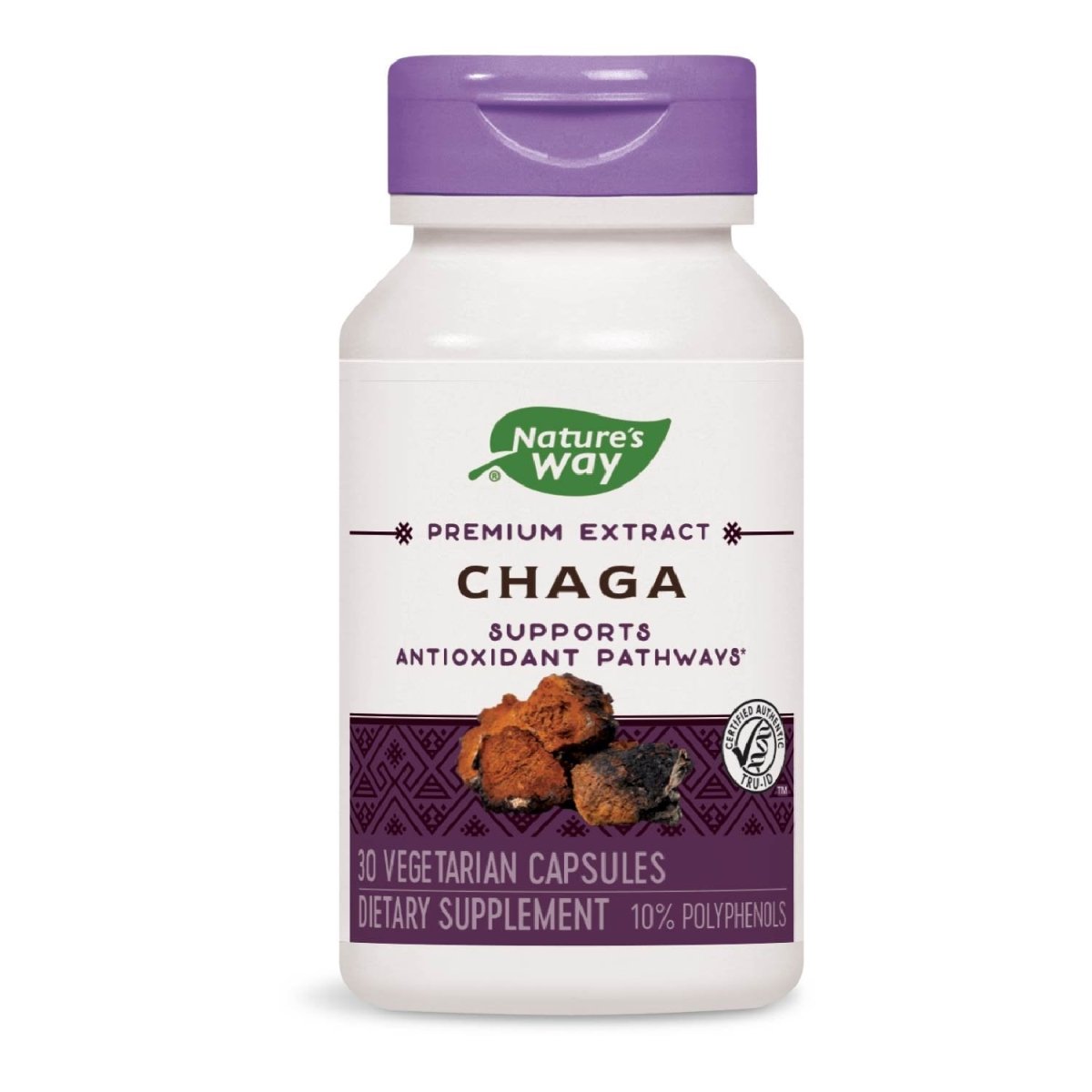Nature's Way Premium Extract Chaga, Supports Antioxidant Pathways*, 480 mg per serving, 30 Vcaps