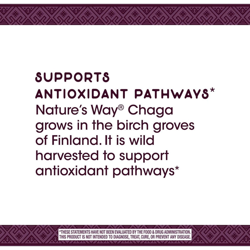 Nature's Way Premium Extract Chaga, Supports Antioxidant Pathways*, 480 mg per serving, 30 Vcaps