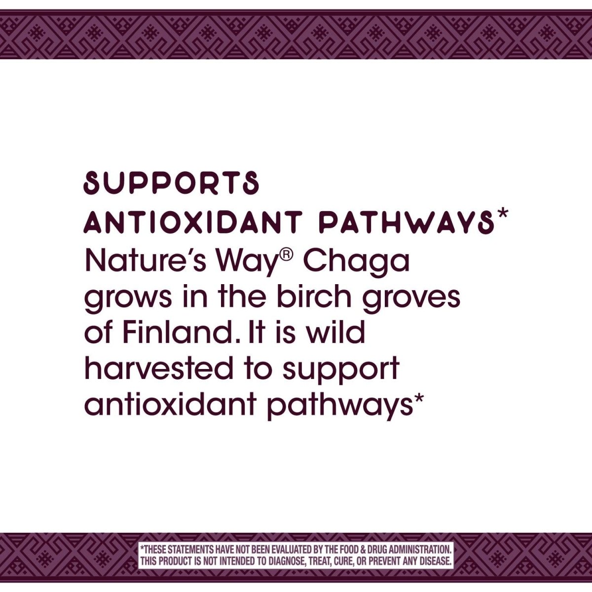 Nature's Way Premium Extract Chaga, Supports Antioxidant Pathways*, 480 mg per serving, 30 Vcaps
