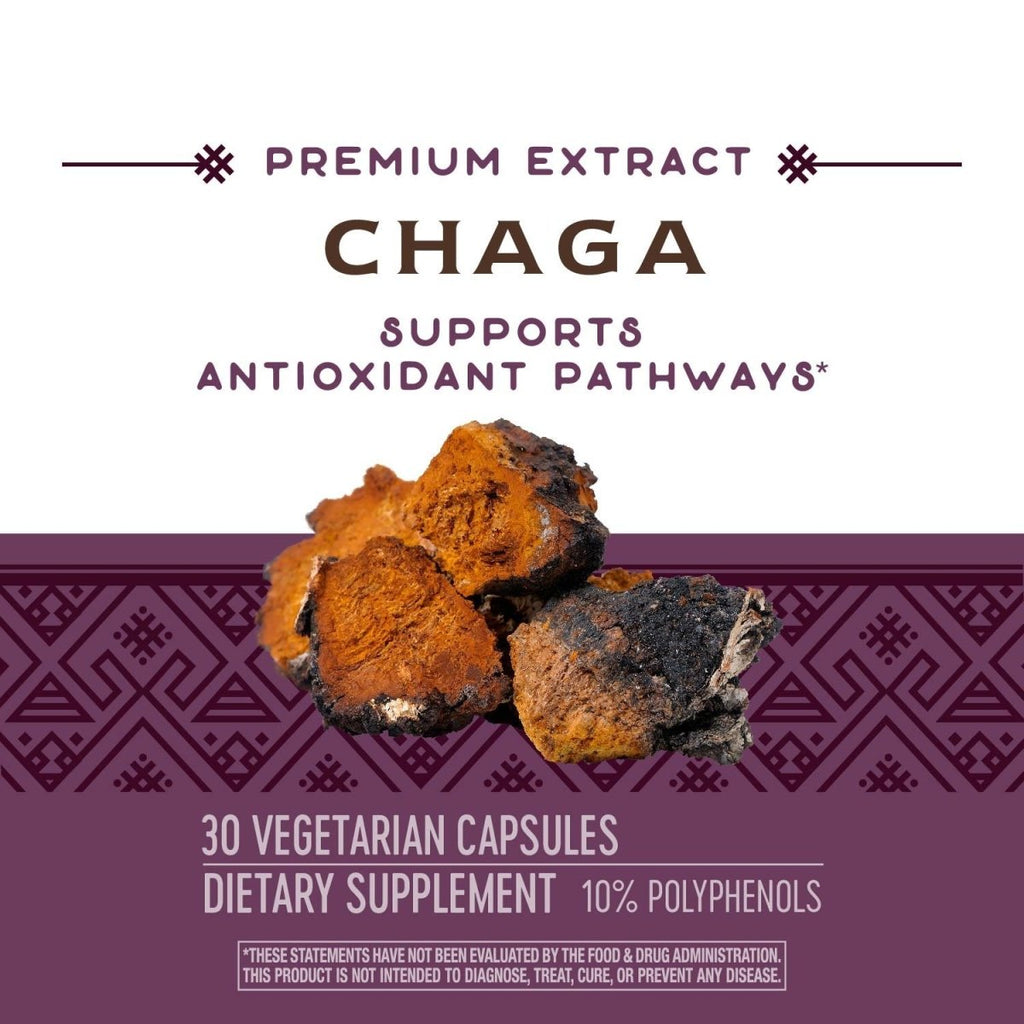 Nature's Way Premium Extract Chaga, Supports Antioxidant Pathways*, 480 mg per serving, 30 Vcaps