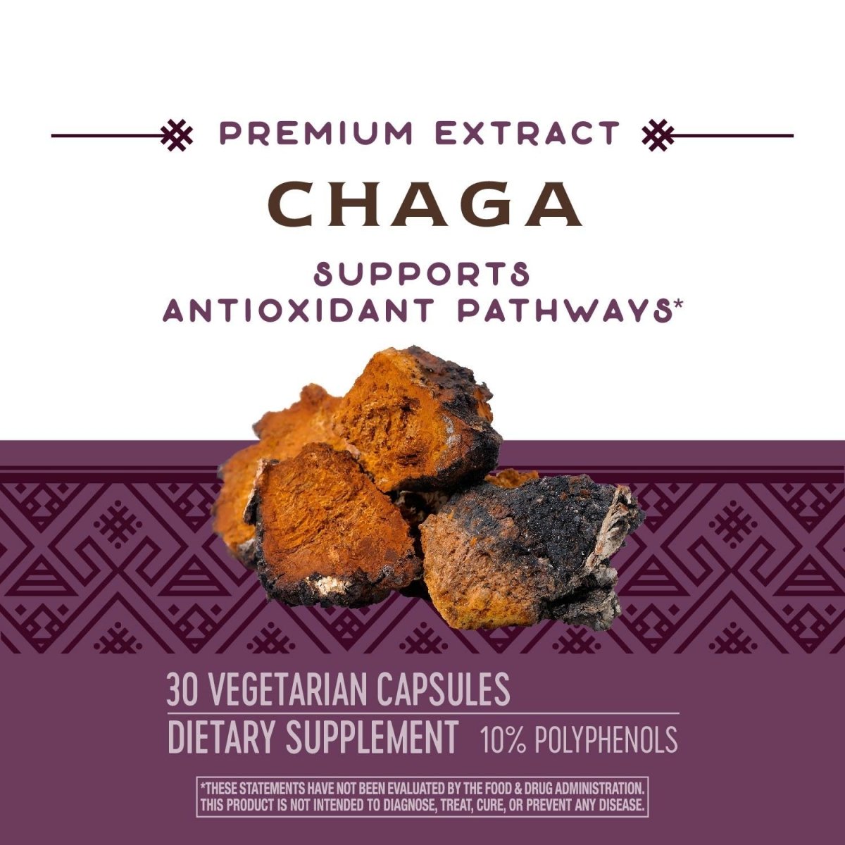 Nature's Way Premium Extract Chaga, Supports Antioxidant Pathways*, 480 mg per serving, 30 Vcaps