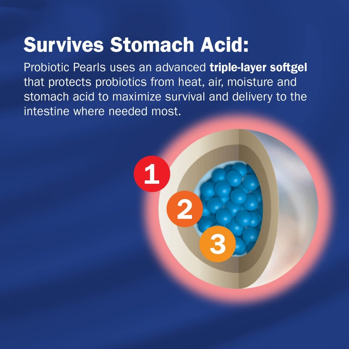 Nature's Way Probiotic Pearls Complete,  30 Softgels
