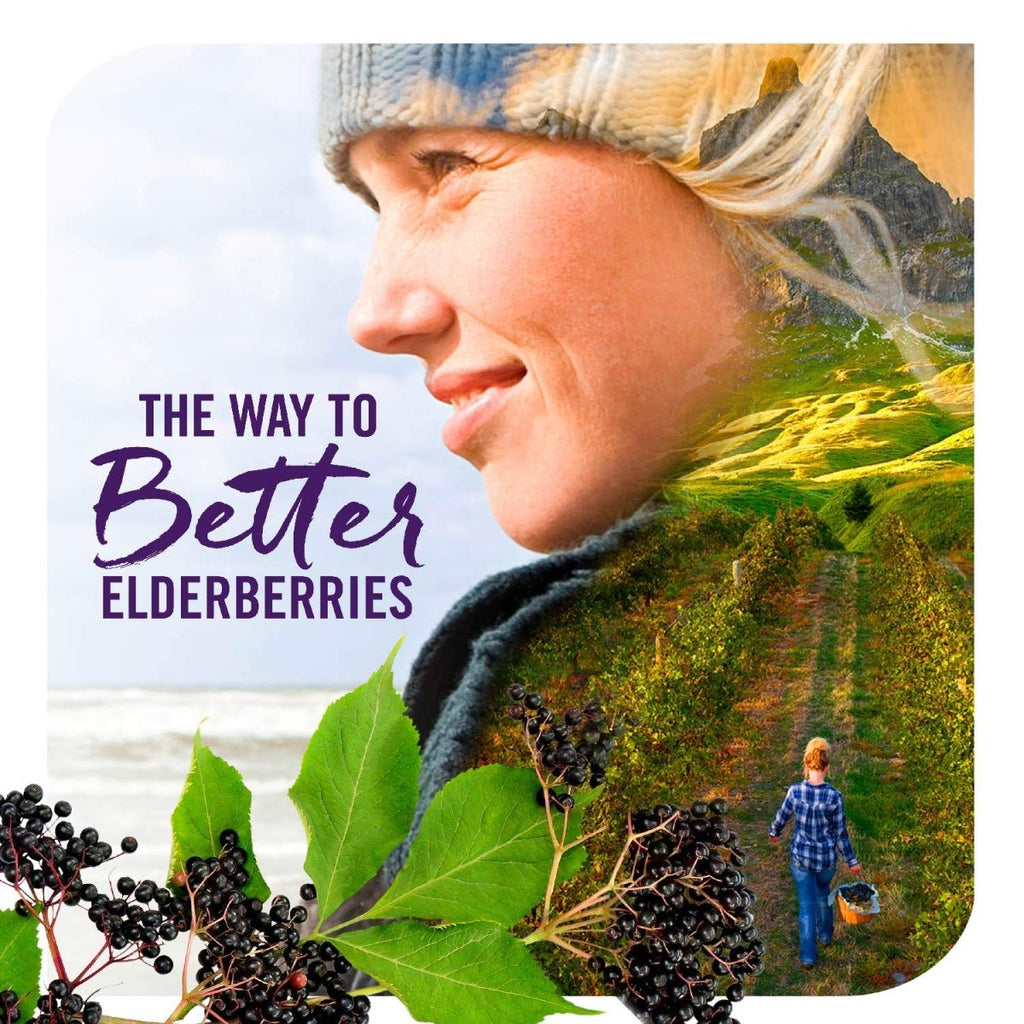 Nature's Way Sambucus Elderberry Drops with Ultra Strength Elderberry, Immune Support*, Made from 6400mg of Elderberries per 1 mL, 1 Fl. Oz.