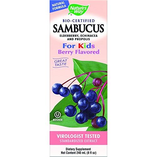 Nature's Way Sambucus for Kids Berry Flavored - 8 Fluid Ounces