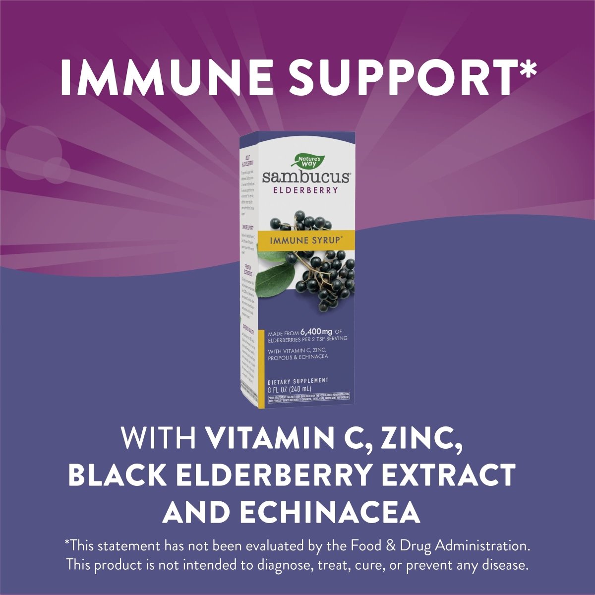 Nature's Way Sambucus Immune Elderberry Syrup - Powerful Immune Support with Vitamin C, Echinacea, and Zinc 8 oz