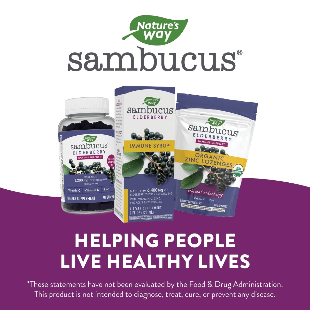 Nature's Way Sambucus Immune Elderberry Syrup - Powerful Immune Support with Vitamin C, Echinacea, and Zinc 8 oz