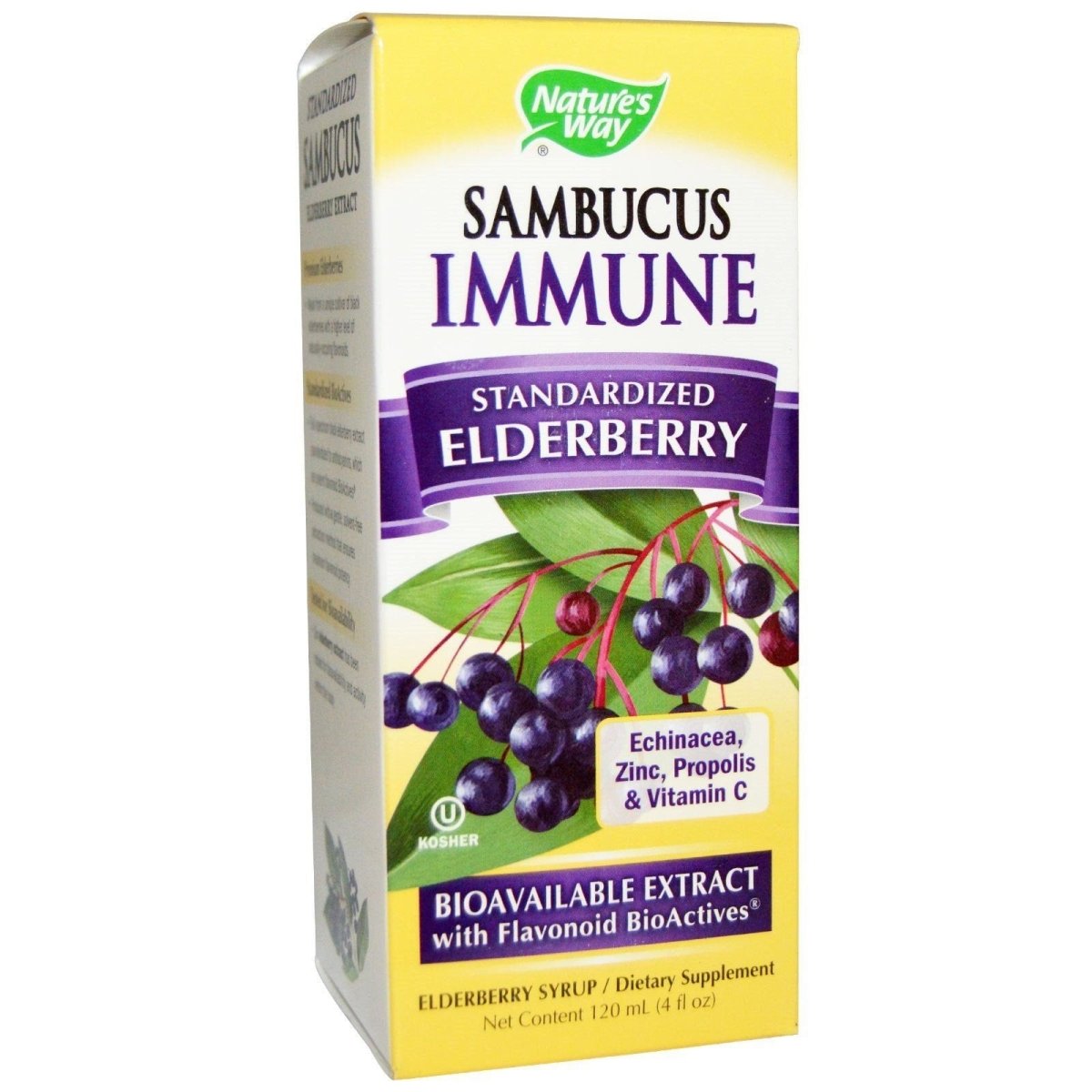 Nature's Way Sambucus Immune Syrup - 4 fl oz