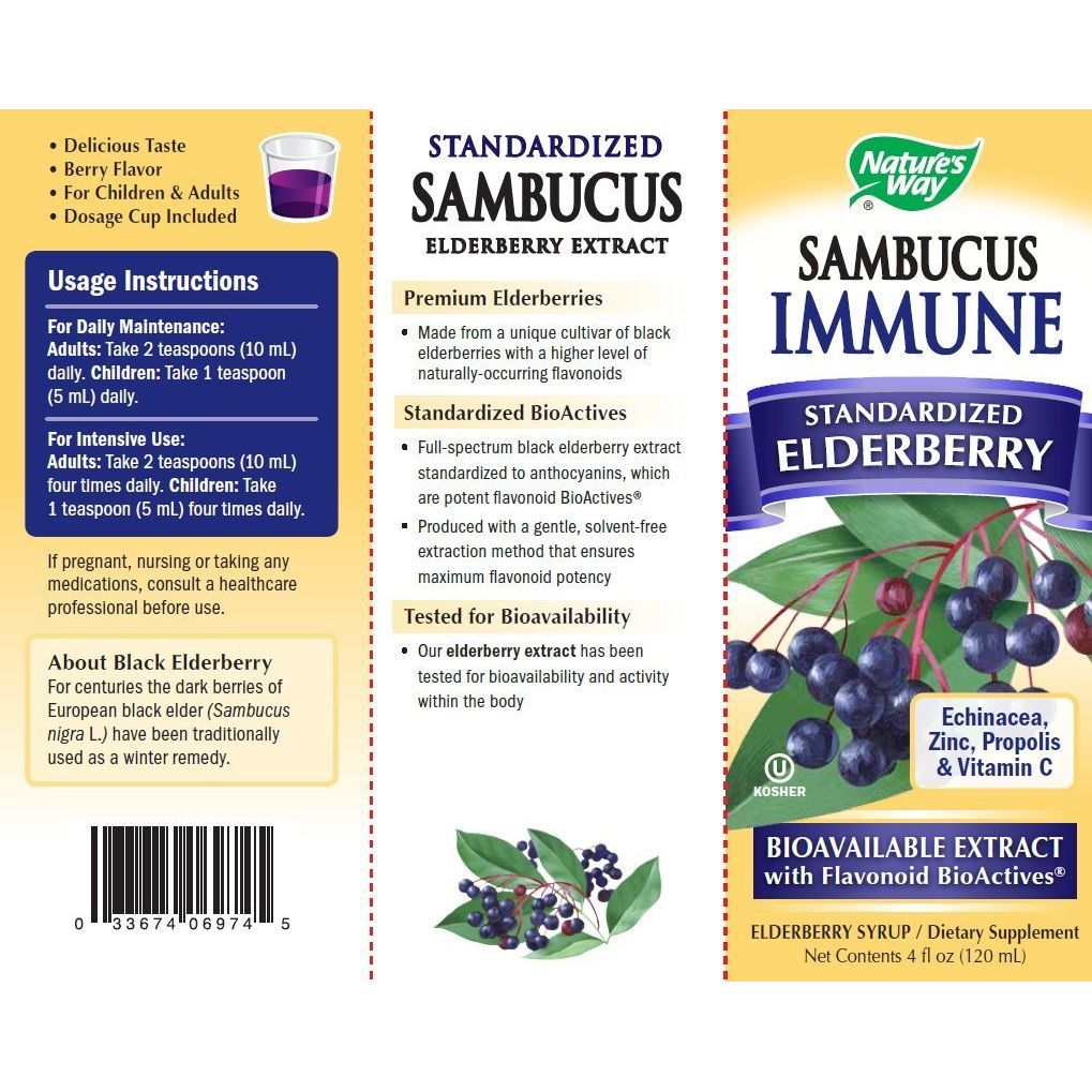 Nature's Way Sambucus Immune Syrup - 4 fl oz