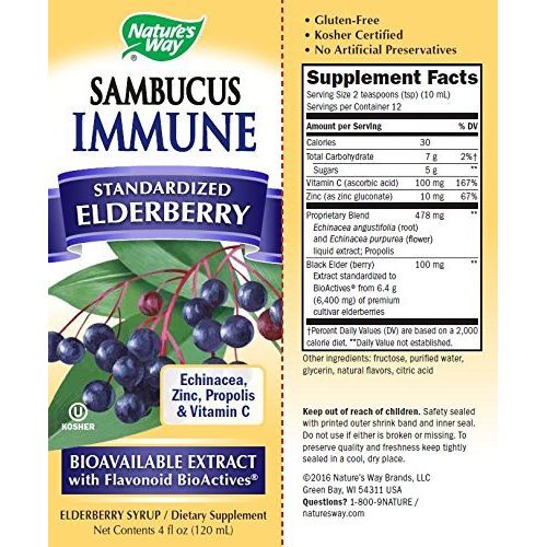 Nature's Way Sambucus Immune Syrup - 4 fl oz