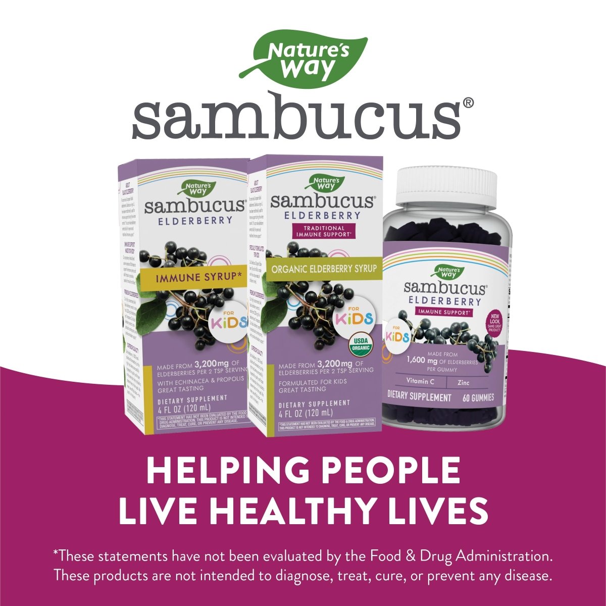 Nature's Way Sambucus Organic Elderberry Syrup for Kids - 4 Fl. Oz - Great Tasting - Gluten-Free