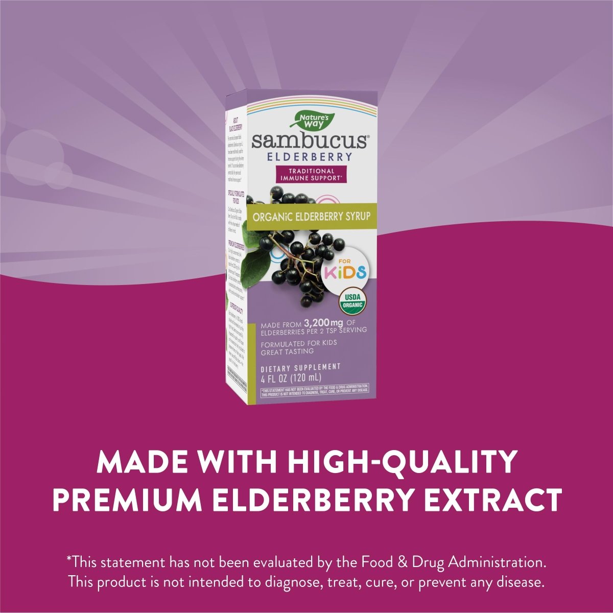 Nature's Way Sambucus Organic Elderberry Syrup for Kids - 4 Fl. Oz - Great Tasting - Gluten-Free