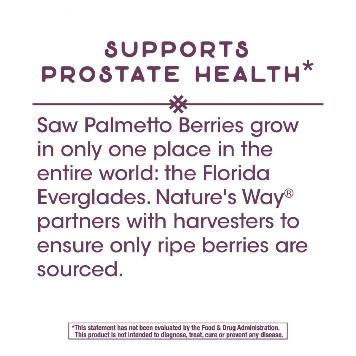Nature's Way Saw Palmetto Standardized Extract Prostate Health, 160 mg per serving, 120 Softgels