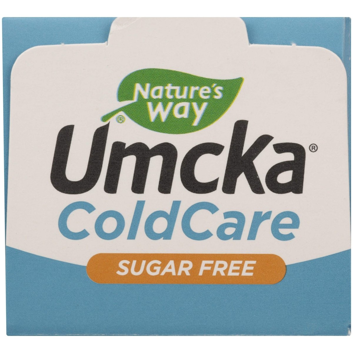 Natures Way, Umcka Cold Care Syrup Sugar Free Grape, 4 Fl Oz