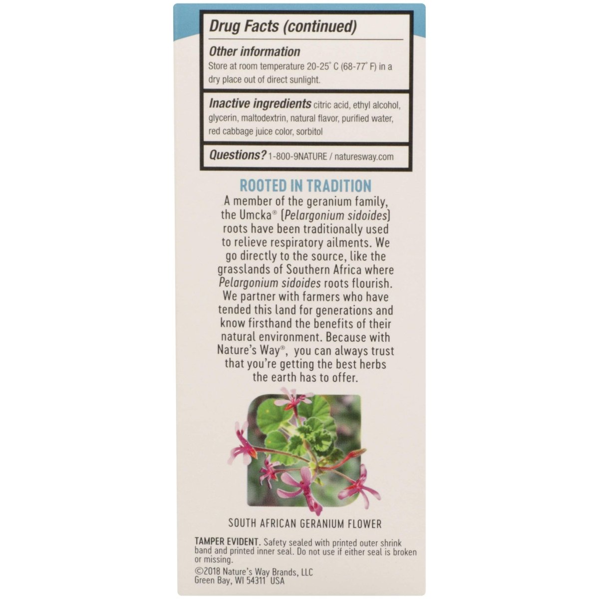 Natures Way, Umcka Cold Care Syrup Sugar Free Grape, 4 Fl Oz