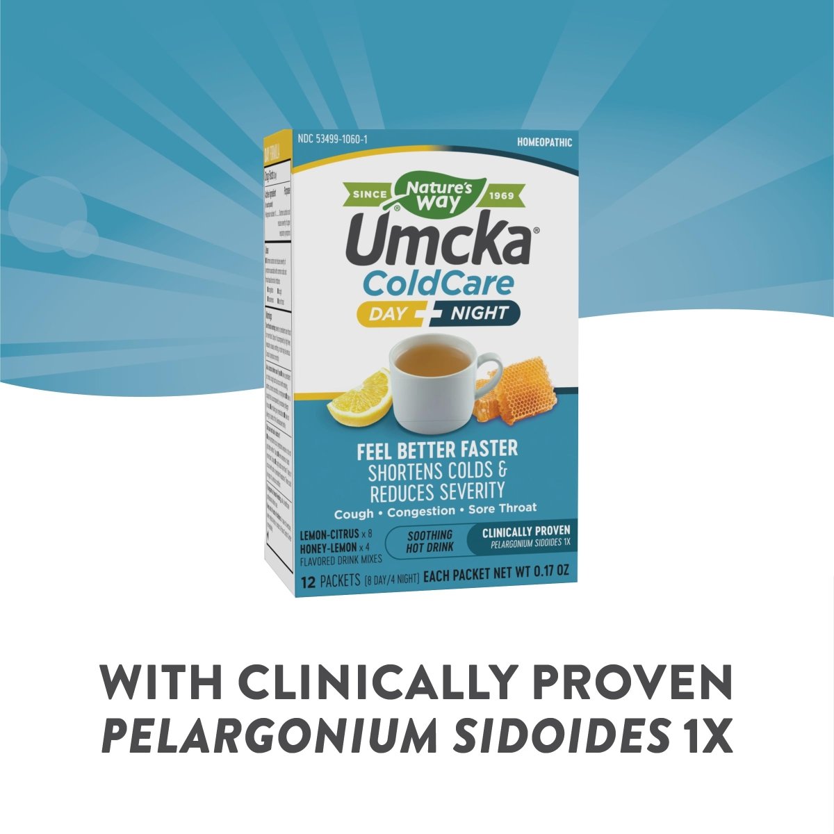Nature's Way Umcka ColdCare Day + Night, Soothing Hot Drink Mixes, Lemon & Honey Flavors, 12 Packets