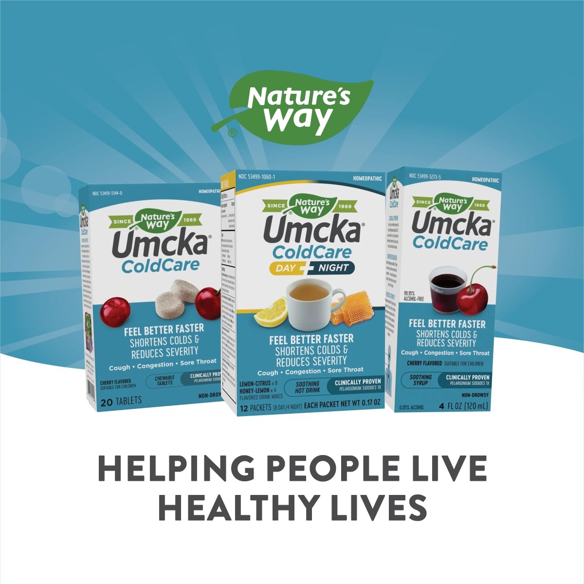 Nature's Way Umcka ColdCare Day + Night, Soothing Hot Drink Mixes, Lemon & Honey Flavors, 12 Packets