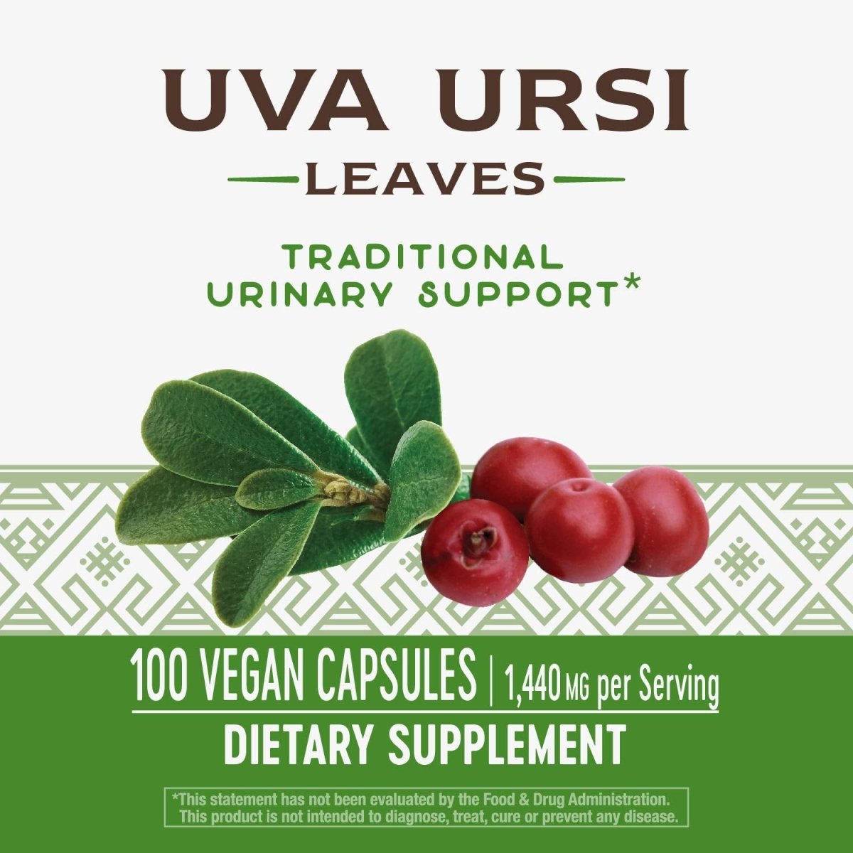 Nature's Way Uva Ursi 1440 mg 100 Capsules (Pack of 6)