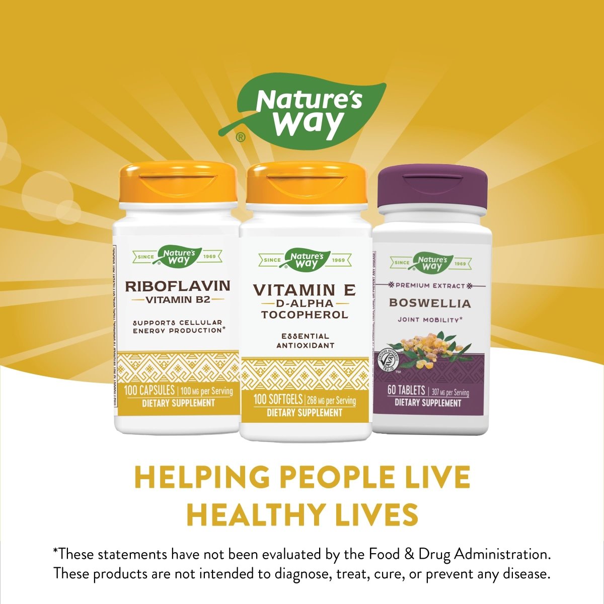 Nature's Way Vitamin E D-Alpha Tocopherol 100 SG 40211