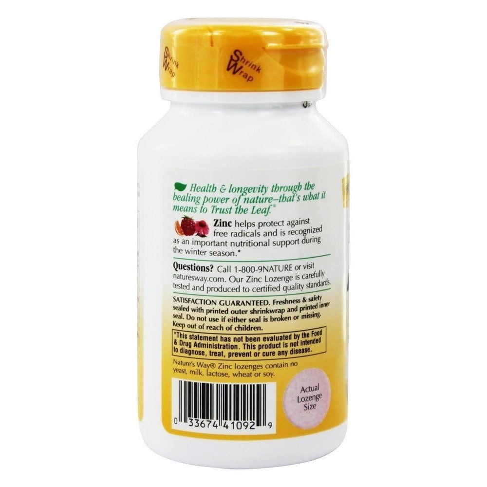 Nature's Way Zinc Lozenges 60