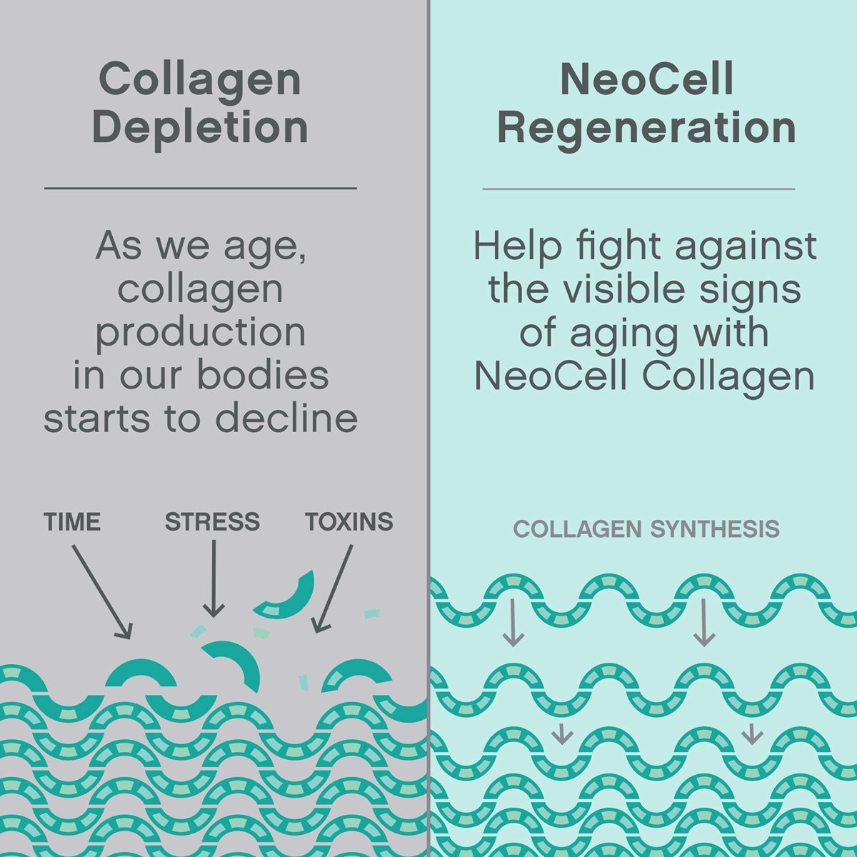 NeoCell Super Collagen Peptides, 20g Collagen Peptides per Serving, Gluten Free, Keto Friendly, Non-GMO, Grass Fed, Healthy Hair, Skin, Nails and Joints, Unflavored Powder, 21.2 oz., 1 Canister