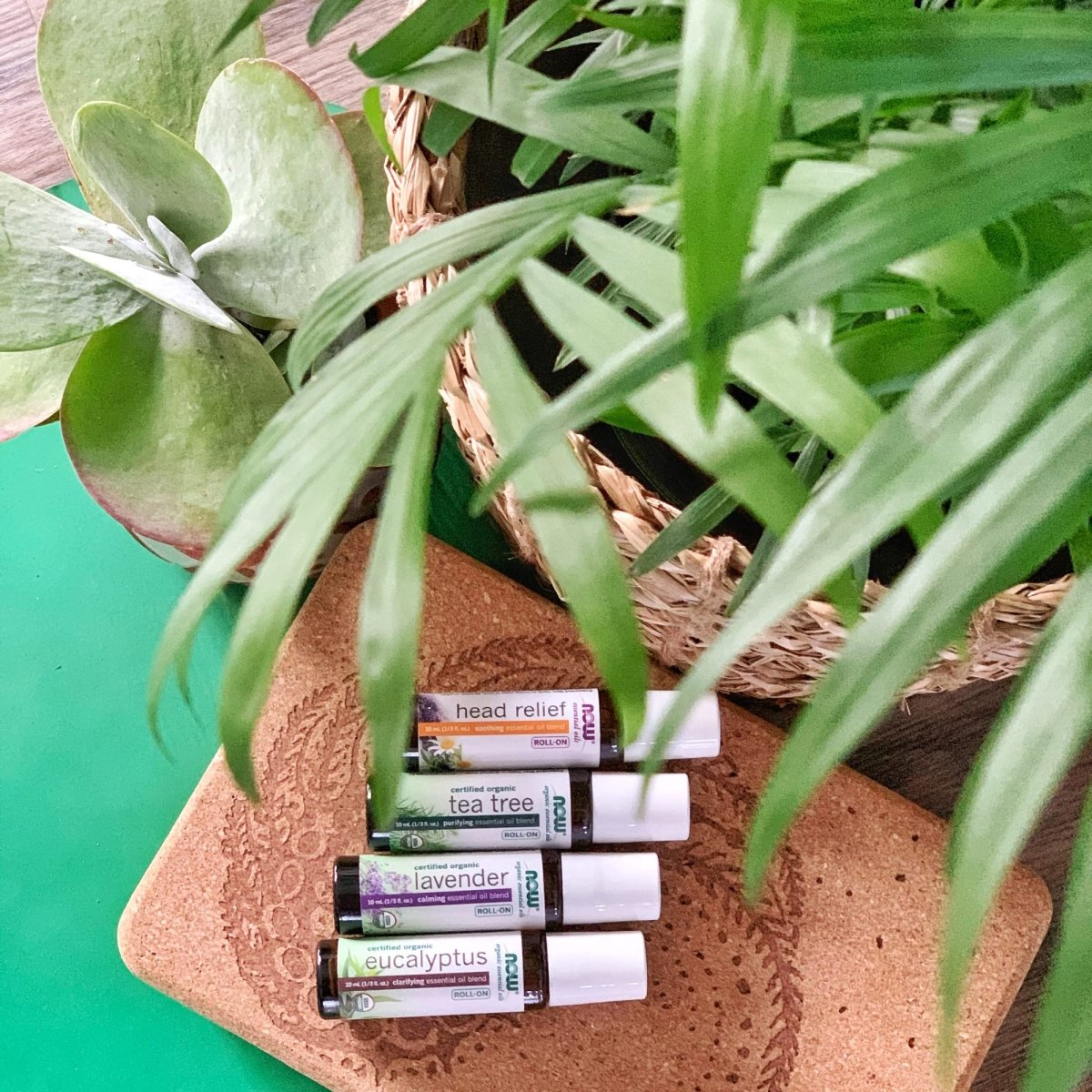 Now Essential Oils Seasonal Defense Essential Oil Blend Roll-On 10ml - 7902