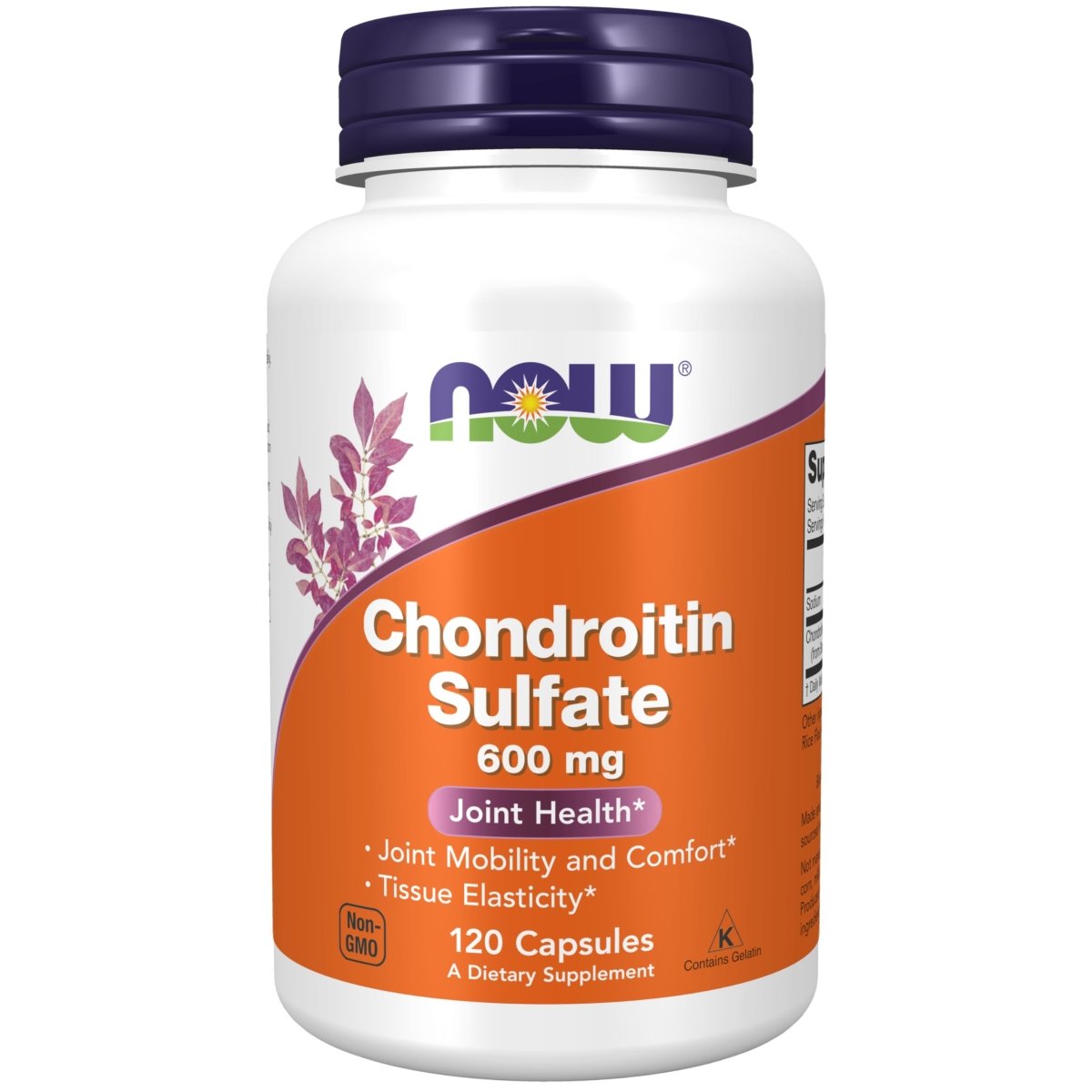 Now Foods Chondroitin Sulfate 600 mg 120 Capsules - 3226