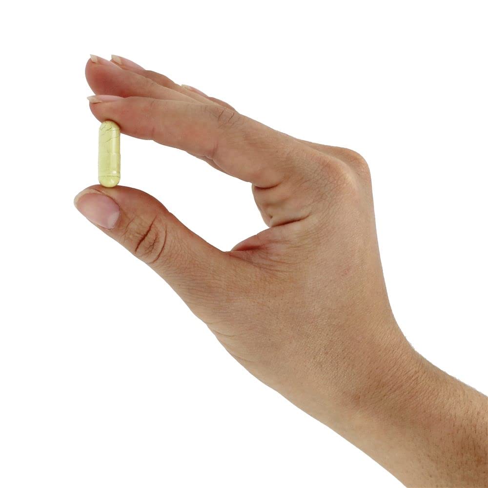 Now Foods Rutin 450 mg 100 Vcaps - 0735