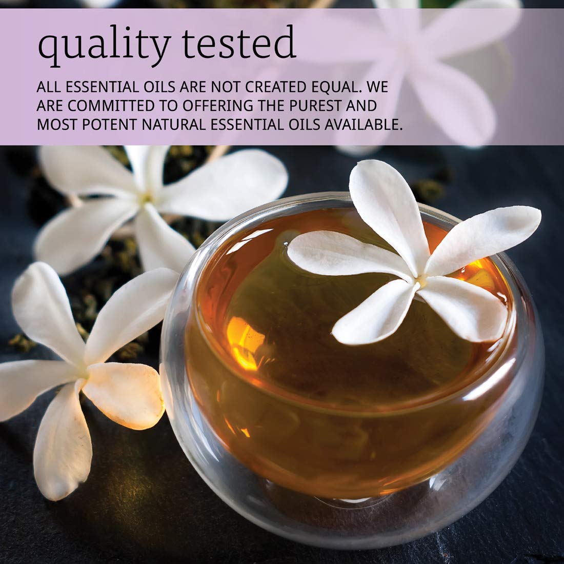 Now Solutions Jasmine Fragrance Oil 1oz - 7555
