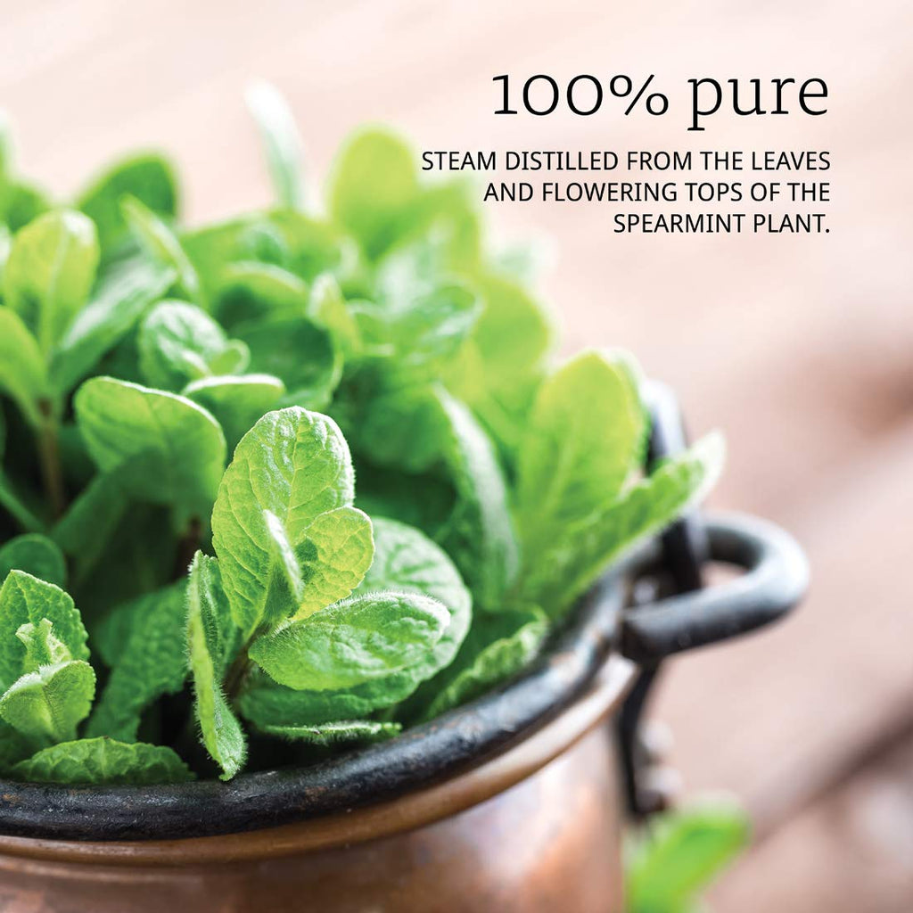 NOW Spearmint Oil, 1-Ounce