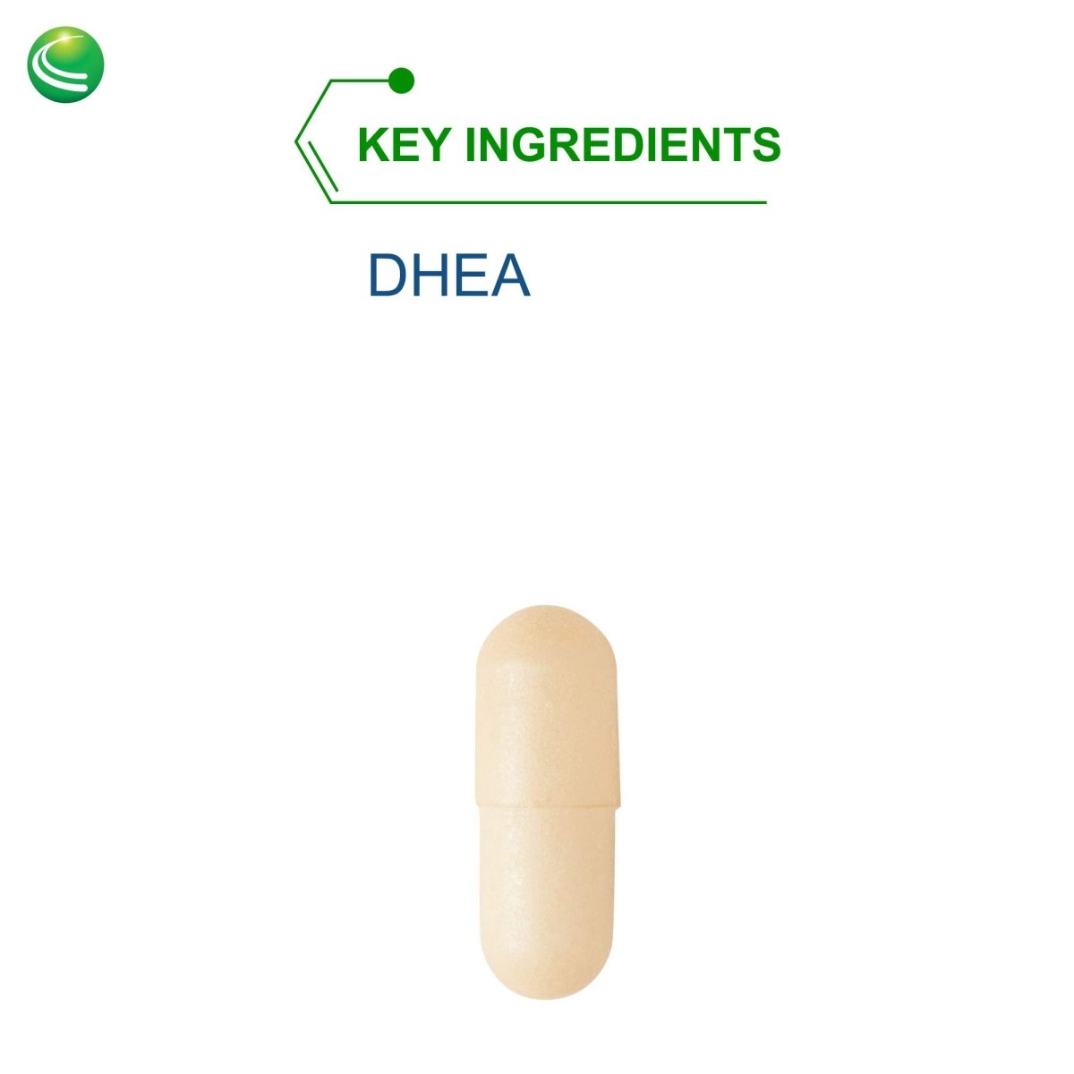 Nutra BioGenesis - DHEA TR -  - 10 mg, 120 Capsules  10240